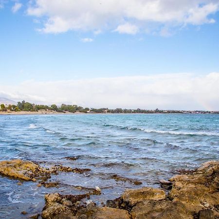 أرتيميدا Sea View Apartments Near Athens Airport 02 المظهر الخارجي الصورة