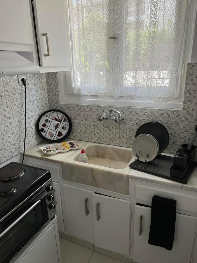 أرتيميدا Sea View Apartments Near Athens Airport 02 المظهر الخارجي الصورة